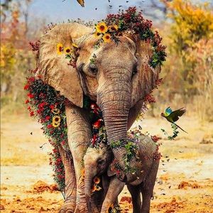 Meet your Posher, Vonne